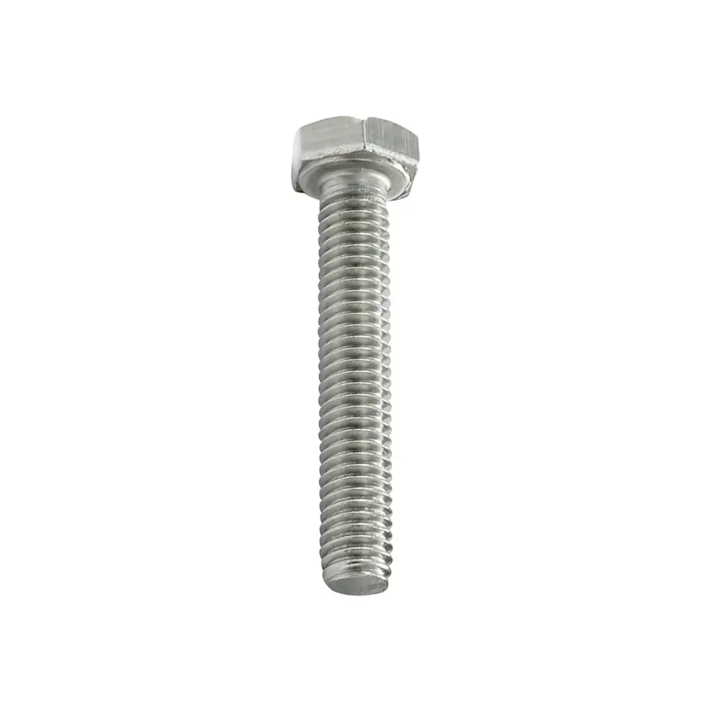 Screws 10X60