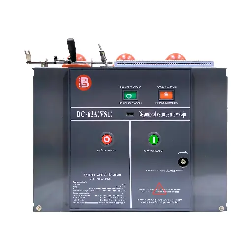 Switch BCVS1 12/1250/31.5KVA (Removable)