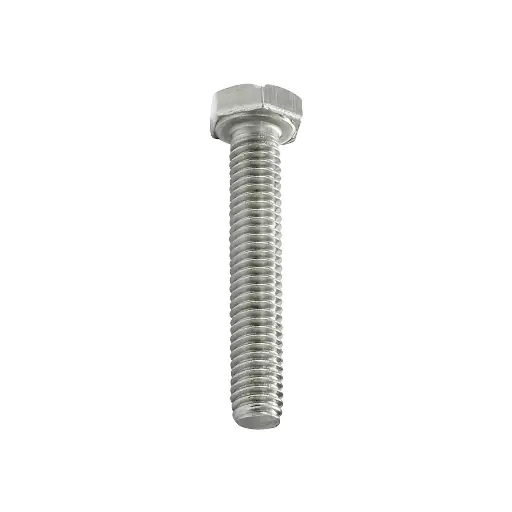 Vidalar 10X60